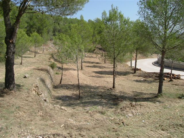 Limpieza forestal integral en urbanizaciones de Canyelles: la gestin de la biomasa para el equilibrio ambiental